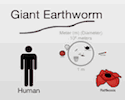 Scale of Universe Physics